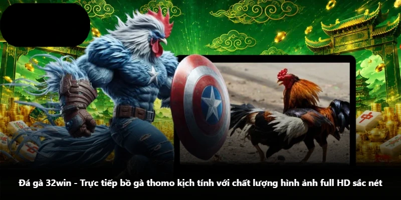 Đá Gà 32win - Trực Tiếp Bồ Gà Thomo Kịch Tính Với Chất Lượng Hình Ảnh Full HD Sắc Nét
