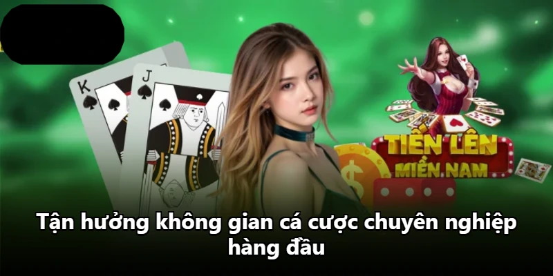 Tận hưởng không gian cá cược chuyên nghiệp hàng đầu